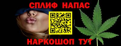 jwh Будённовск