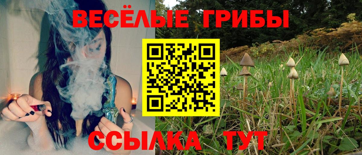 Галлюциногенные грибы Psilocybe  купить закладку  Отрадный  Вход с VPN 