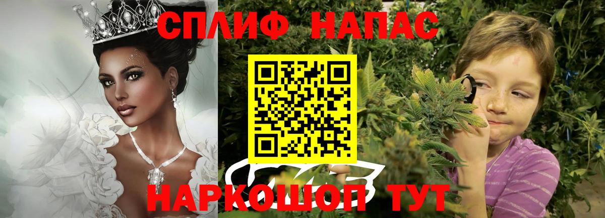 Каннабис AK-47 Отрадный